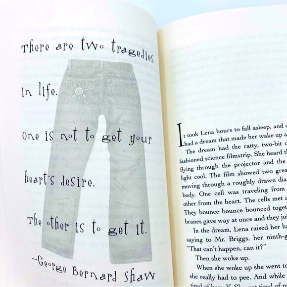 Girls in Pants Summer Books Bundle by Ann Brashares - Picture 11 of 11